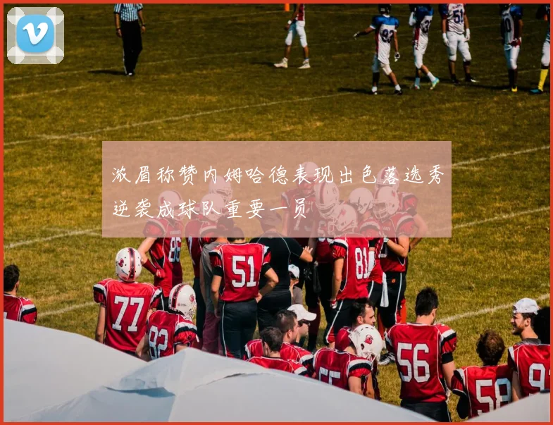 浓眉称赞内姆哈德表现出色落选秀逆袭成球队重要一员