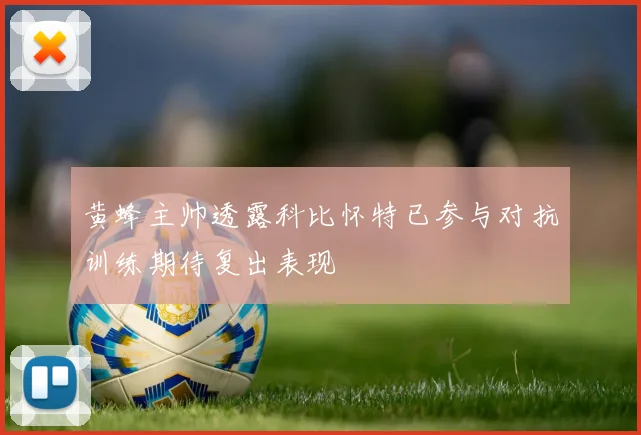 黄蜂主帅透露科比怀特已参与对抗训练期待复出表现